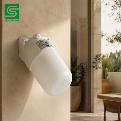 sauna wall lamp